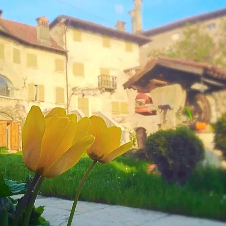 Francescon, Val Belluna Village, Dolomites 빌라